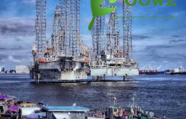 Policy Variability Promoting Investment Apathy In Nigeria’s Oil And Gas
