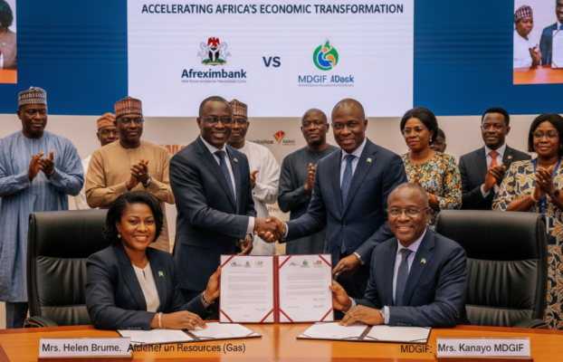 Nigeria To Modernize, Expand Gas Sector Investment With Bankable Projects