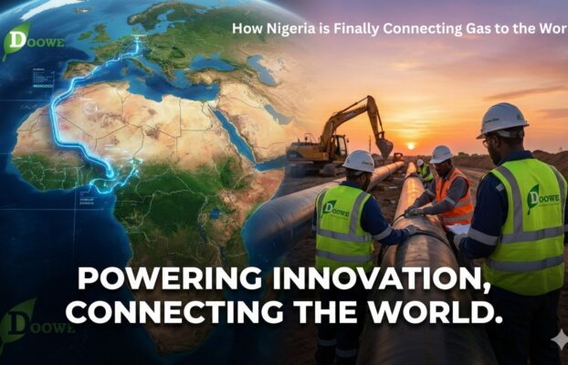 The Big Pipe Dream: How Nigeria is Finally Connecting Gas to the World and Your Business